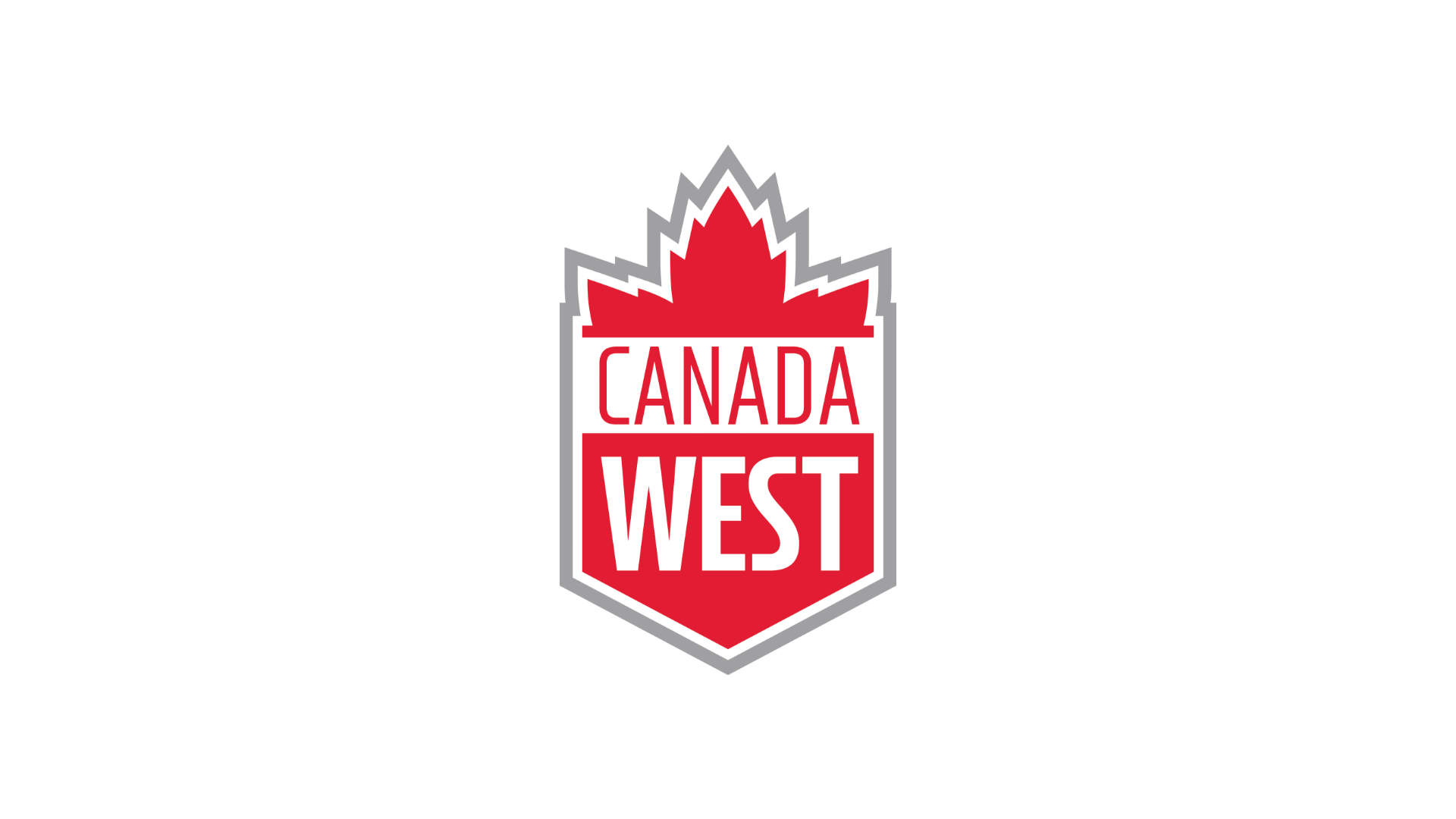 SWIM: Record-setting swimmers honoured